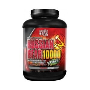 Russian Bear